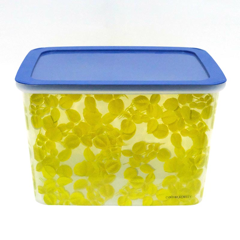 Válogatódoboz fröccsöntés a formacímkében